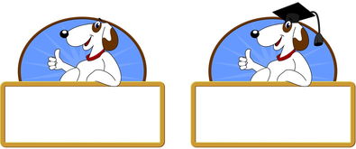 开云app-校园体育活动对大学生心理健康的促进作用，体育锻炼对大学生心理健康促进的意义