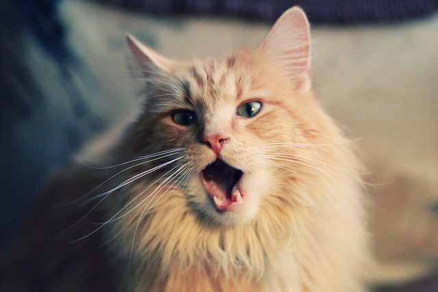 开云体育app下载-五大联赛是否因对手风格变化主动调整中场厚度,五大联赛分析