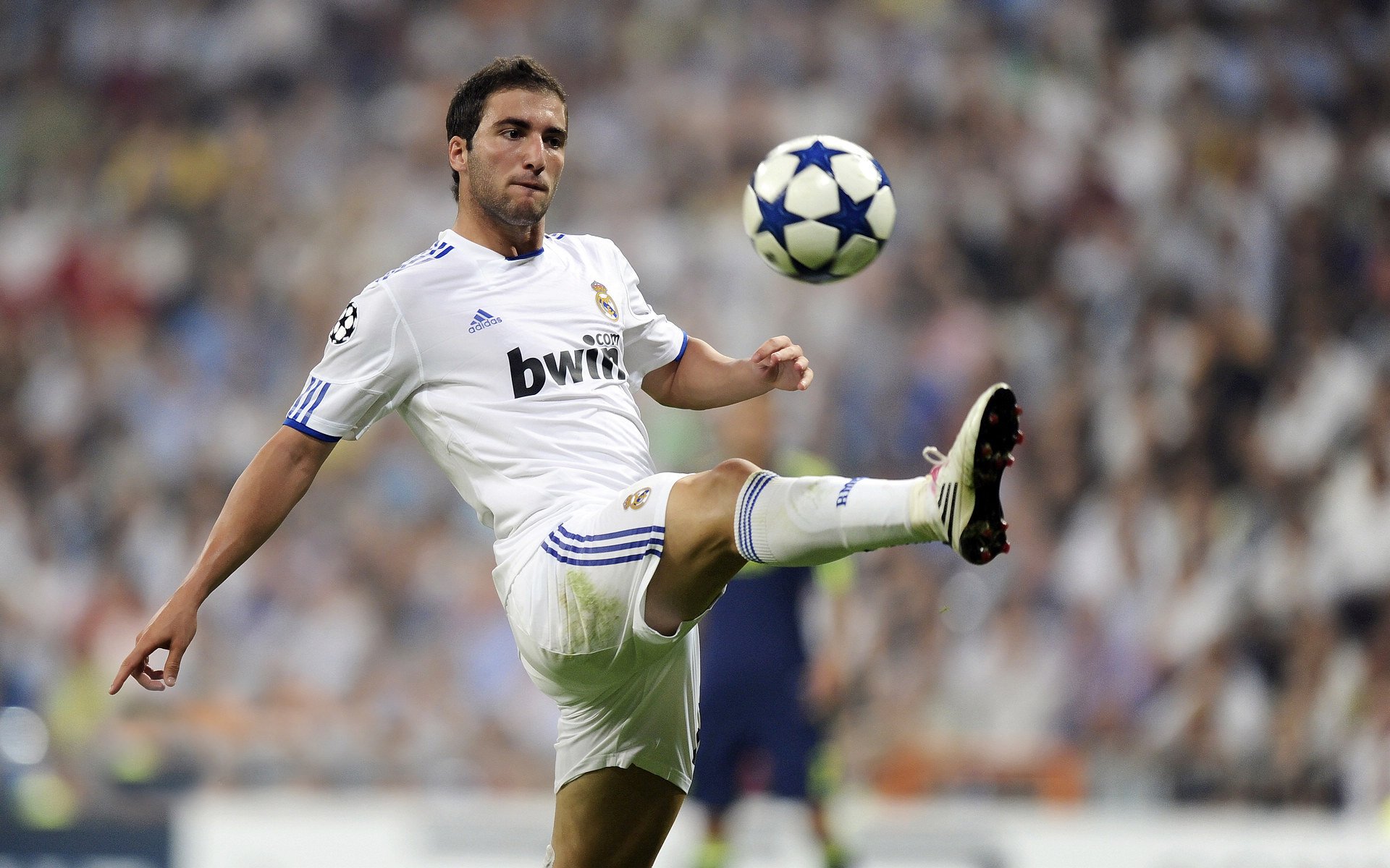 开云体育官网下载-体育新闻中心开展体育短视频内容制作培训班，体育项目视频简介