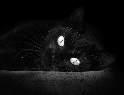 开云体育在线登入-得分分布最平均的球队更难防守吗，场均得分最高的球队