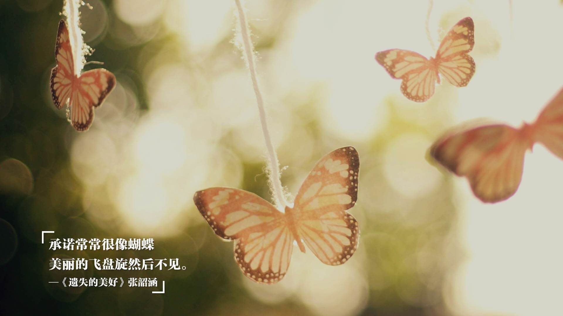 开云体育在线登入-男子自由泳决赛澳洲两人入围，男子自由泳世界冠军