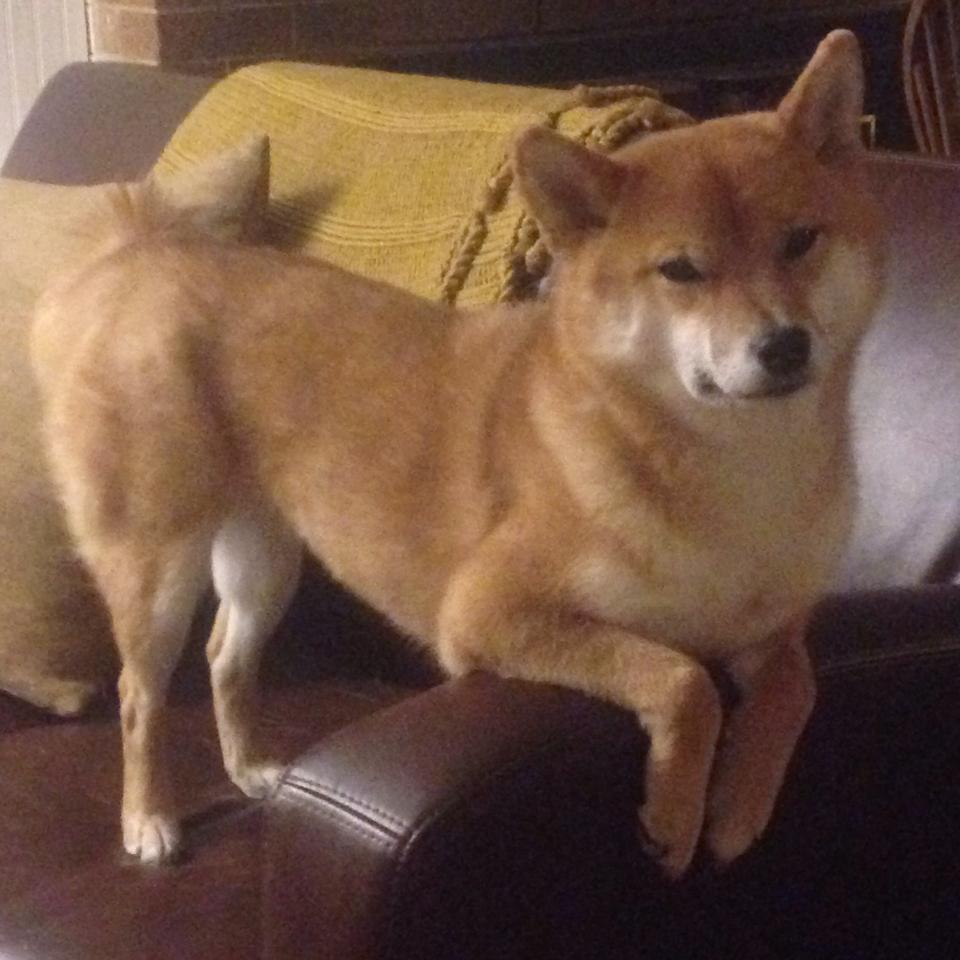 开云体育官网登入-西班牙男队多名新人表现亮眼,西班牙队里有谁