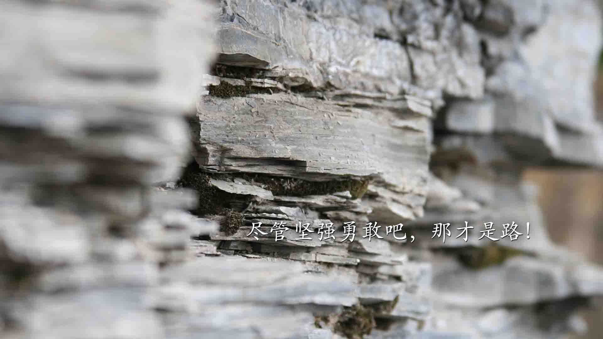 开云在线登入-南非羚羊队的核心战术：不断打破对方防线，保持高压态势，南非羚羊皮可以干嘛用