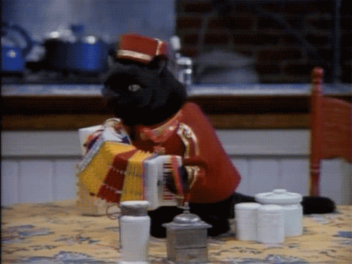 开云体育app下载-国家队核心球员专项训练提升关键位置技术水平,核心球员角色球员区别