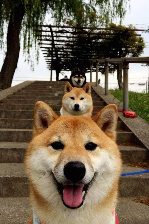 开云体育官网登入-国际马拉松赛赛事安排，国际马拉松的赛程是几万米