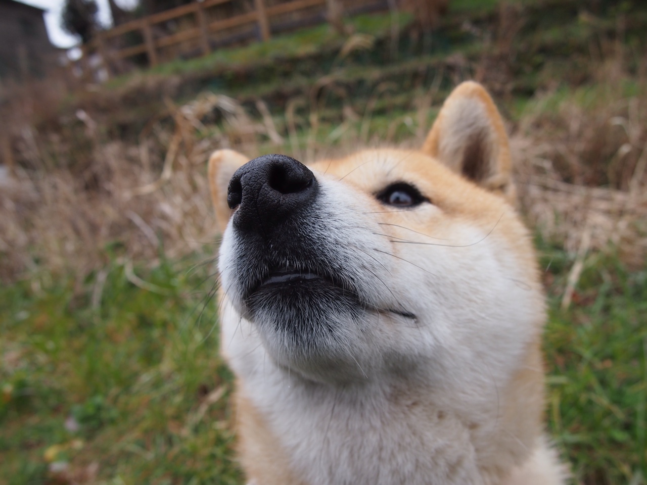 开云体育官网下载-夏季篮球训练营火爆招生家长踊跃支持体育教育结合,篮球训练营寒假招生