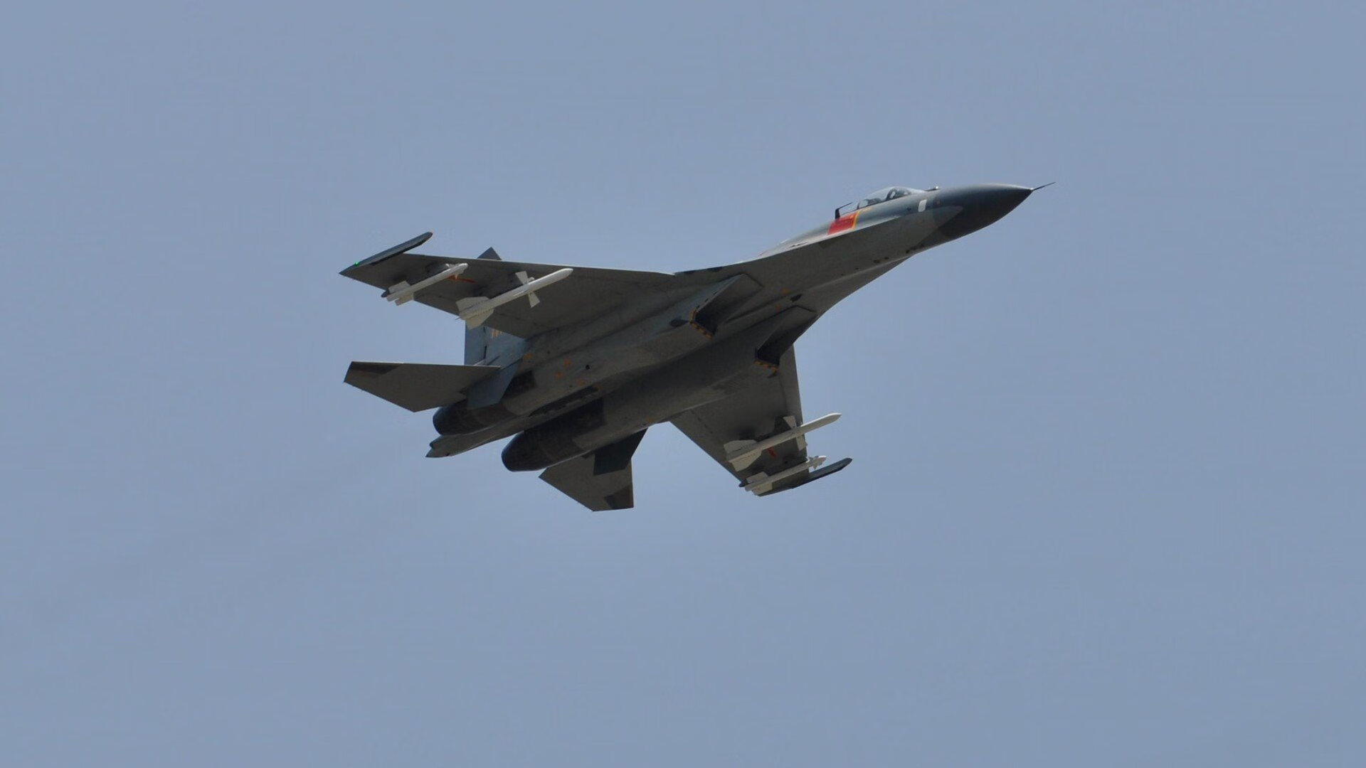 开云体育登录-张伟丽与训练师合照展示团队力量,张伟丽 训练