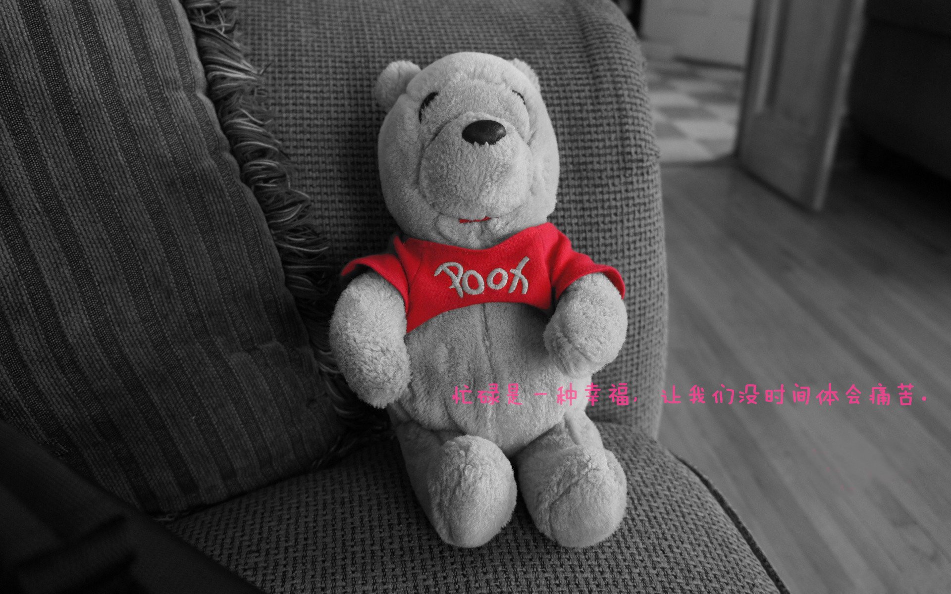 开云体育娱乐-水球战术多变摩纳哥应对自如