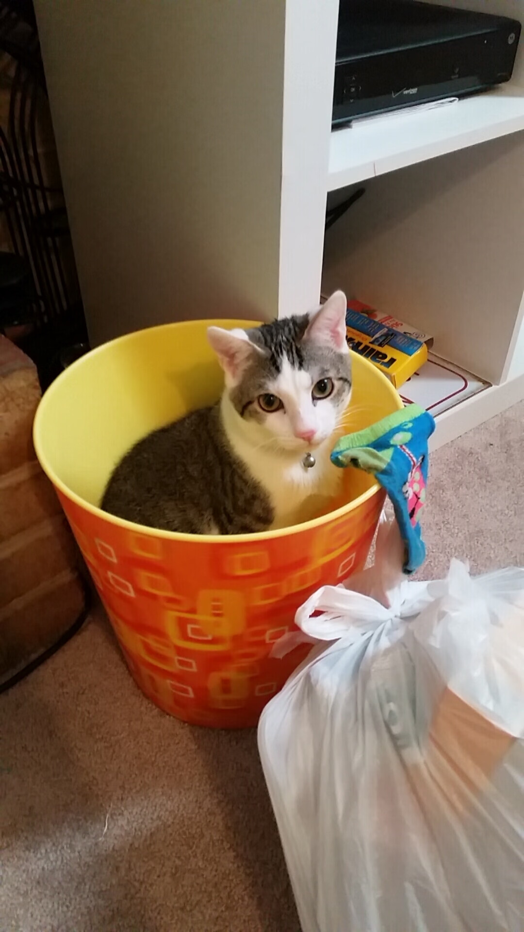 开云体育登录-爵士内线协防提升有效封锁对手篮下空间，爵士队内线