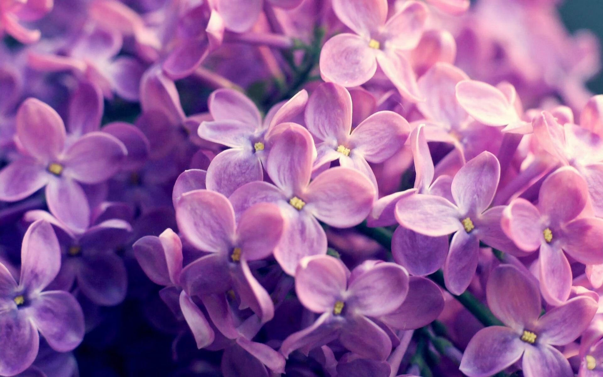 kaiyun开云体育-英国男子4×200米自由泳接力决赛强势亮相,4×200米自由泳接力比赛视频