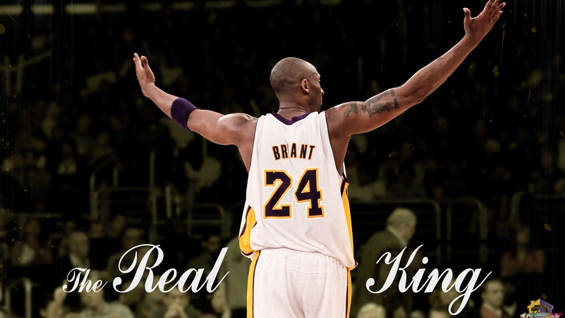 《ApexLegends》天空之城新版本震撼登场,战术变化引领全场!